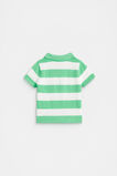 Knitted Stripe Polo  Pine Lime  hi-res