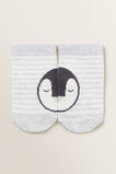 Penguin 3 Pack Socks    hi-res