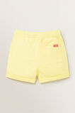 Classic Short    hi-res