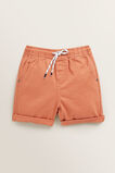 Classic Short    hi-res