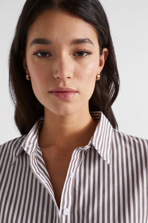 Poplin Button Down Shirt  Hot Chocolate Stripe  hi-res