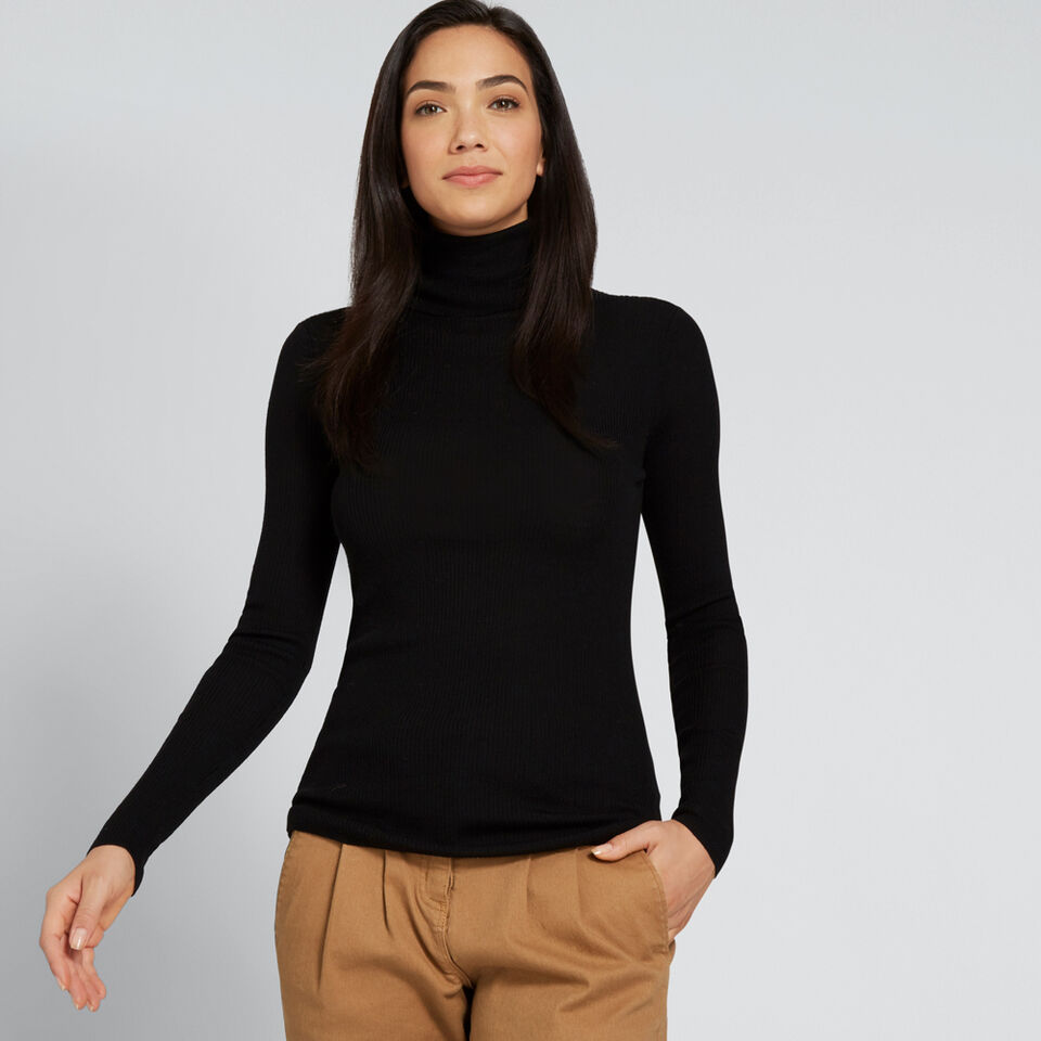 Fitted Rib Roll Neck  