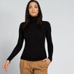 Fitted Rib Roll Neck    hi-res
