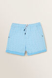 Classic Short    hi-res