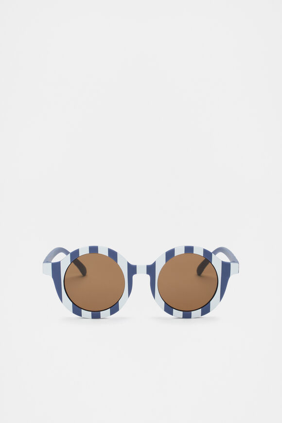 Matte Stripe Sunglasses  Blue Stripe  hi-res