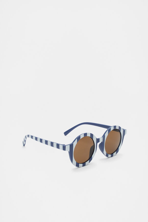 Matte Stripe Sunglasses  Blue Stripe  hi-res
