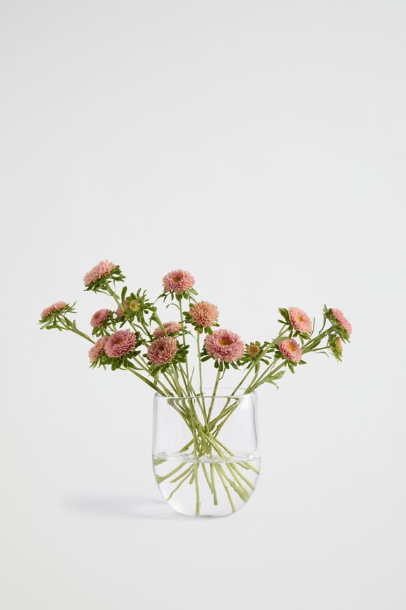 Nola Small Vase  Clear  hi-res