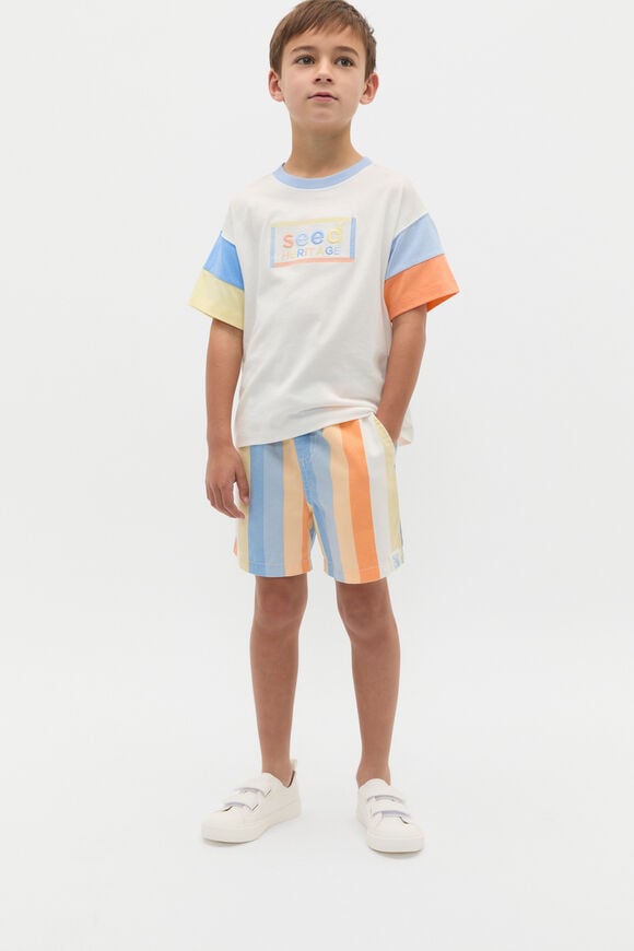 Stripe Short  Multi Stripe  hi-res