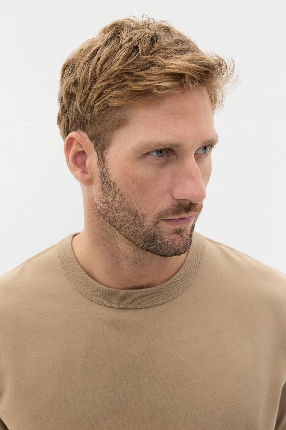 Crew Tee  Biscotti