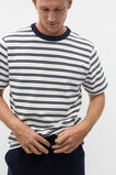 Crew Stripe Tee  Midnight Blue Stripe  hi-res