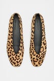 Margot Animal Print Ballet Flat  Ocelot  hi-res