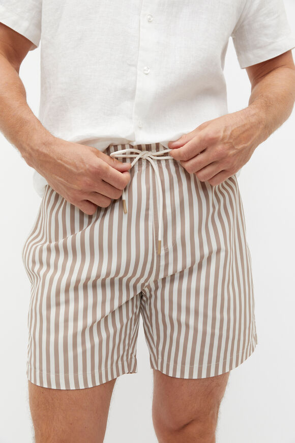 Stripe Swim Short  Hazelnut Stripe  hi-res