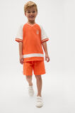 Raglan Sporty Tee  Cayenne  hi-res