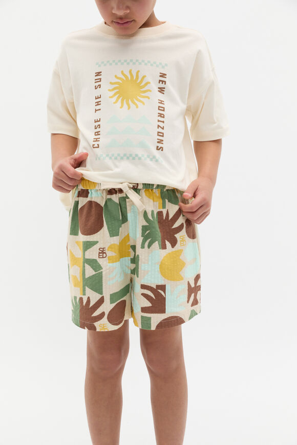 Abstract Print Short  Abstract Print  hi-res