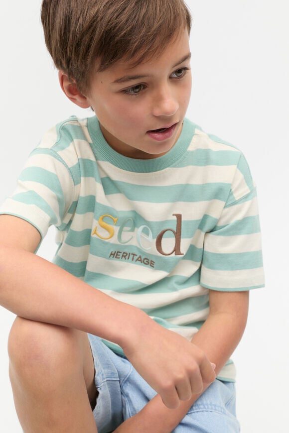 Colourblock Stripe Logo Tee  Mint Stripe  hi-res