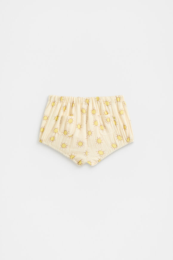 Sunny Bloomer  Sunshine  hi-res