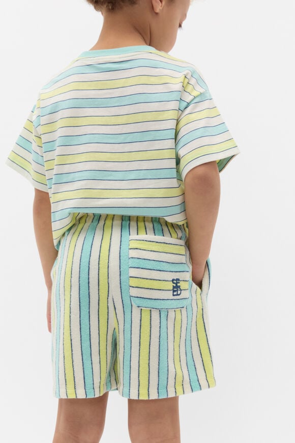 Stripe Short  Multi Stripe Stripe Short  Multi Stripe  hi-res