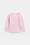 Core Rib Tee  Fairy Floss Stripe  hi-res