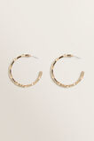 Chain Hoops  9  hi-res