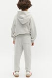 Oversized Logo Hoodie  Light Grey Marle  hi-res