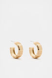 Creases Hoops  Gold  hi-res