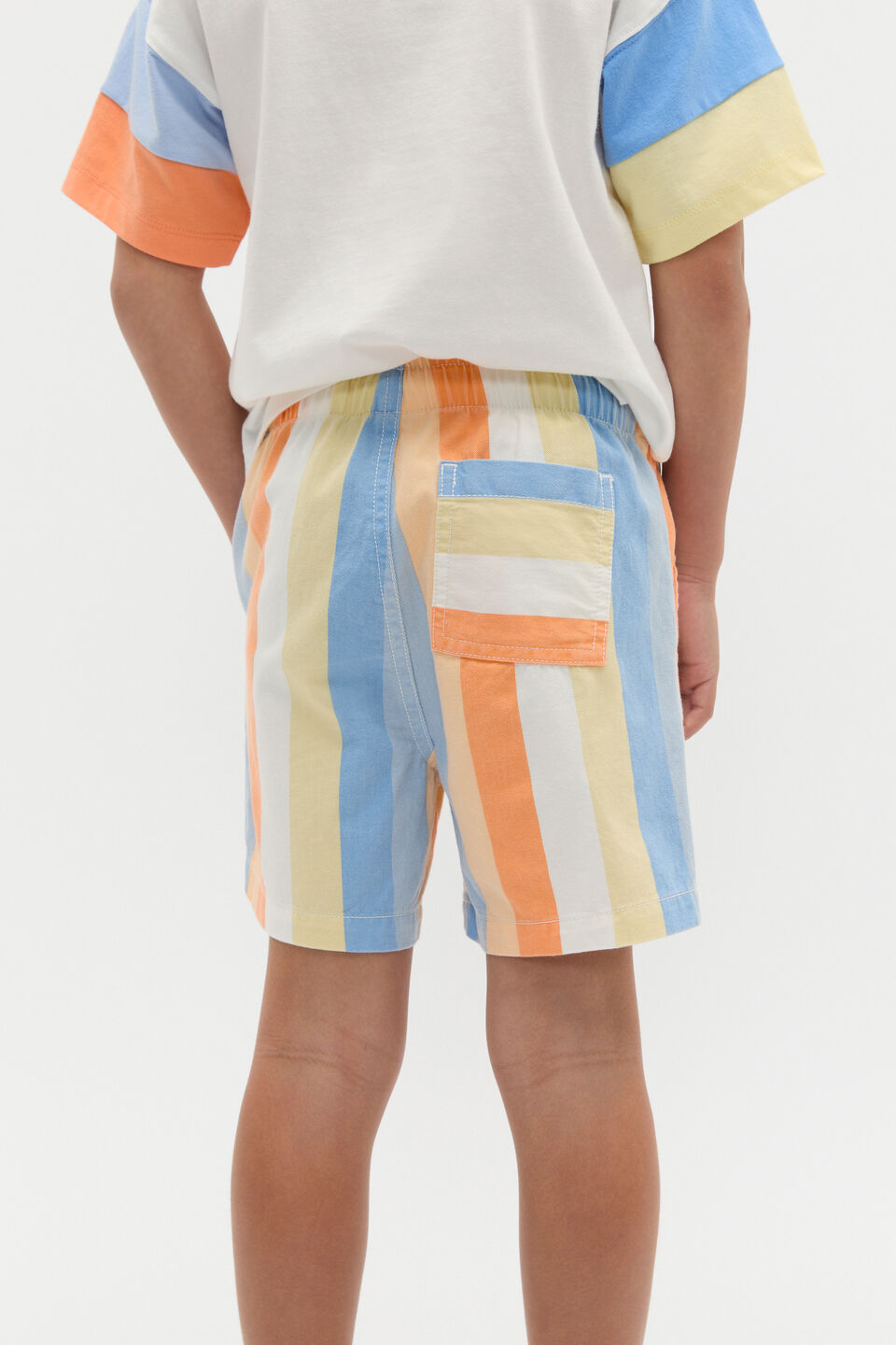 Stripe Short  Multi Stripe