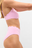 Scallop Bikini  Fairy Floss  hi-res