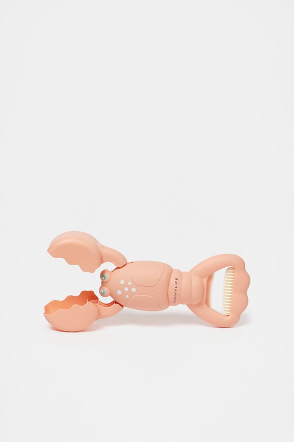 Lobster Sand Claws  Coral Lobster Sand Claws  Coral  hi-res