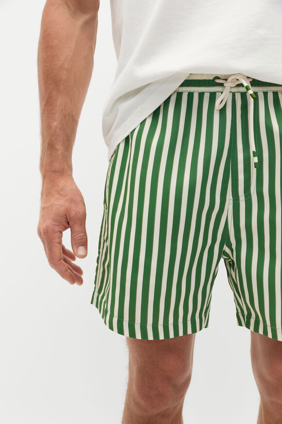 Stripe Swim Short  Pea Green Stripe Swim Short  Pea Green  hi-res