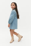 Panelled Denim Dress  Light Wash  hi-res