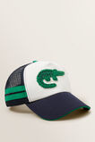 Crocodile Cap    hi-res