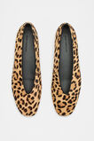 Margot Animal Print Ballet Flat  Ocelot  hi-res