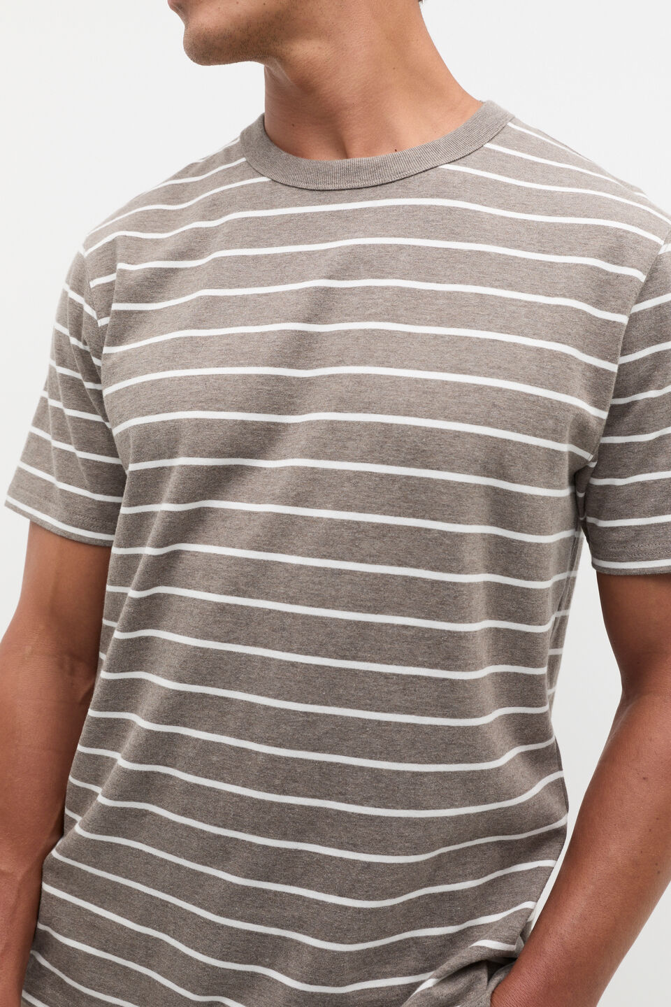 Crew Stripe Tee  Ash Marle