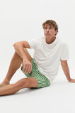 Stripe Swim Short  Pea Green  hi-res