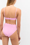 Scallop Bikini  Fairy Floss  hi-res
