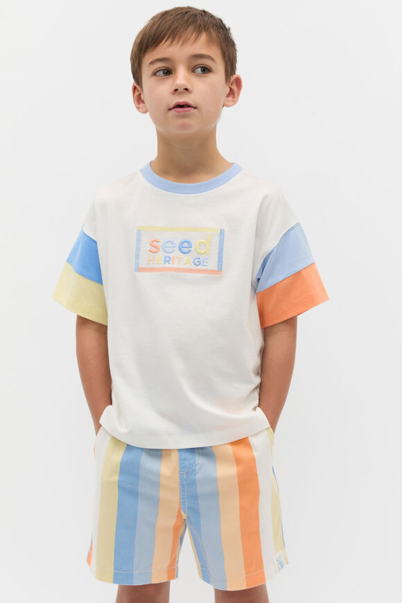 Panelled Logo Tee  Canvas  hi-res