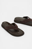 Piper Thong Sandal  Chocolate Suede  hi-res