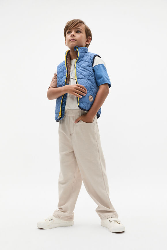 Reversible Vest  Multi  hi-res