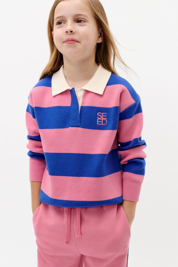 Polo Knit Sweater  Raspberry  hi-res