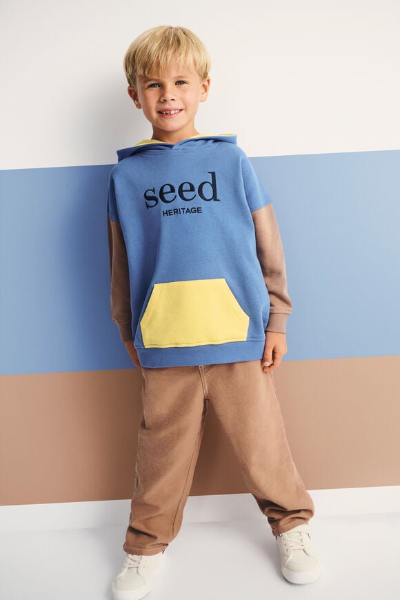 Colourblock Logo Hoodie  Multi  hi-res