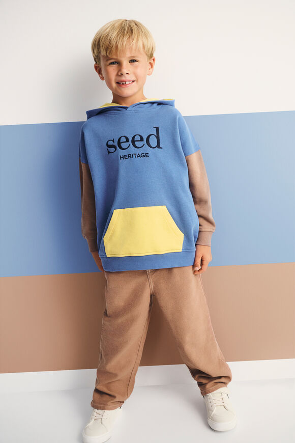 Colourblock Logo Hoodie  Multi  hi-res