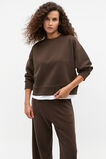 Boxy Crew Sweat  Dark Espresso  hi-res