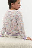 Rainbow Knit Sweater  Multi  hi-res
