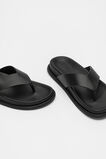 Piper Thong Sandal  Black  hi-res