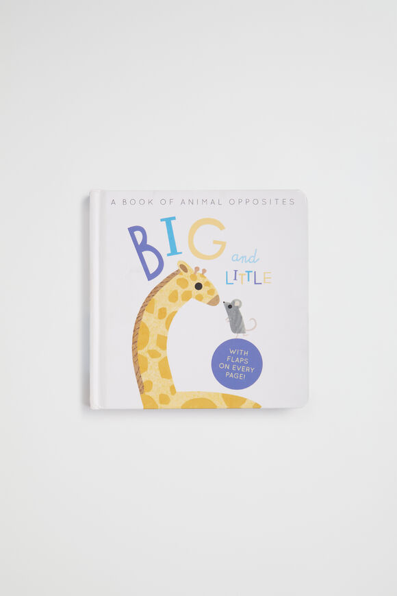 Big and Little Book  Multi  hi-res
