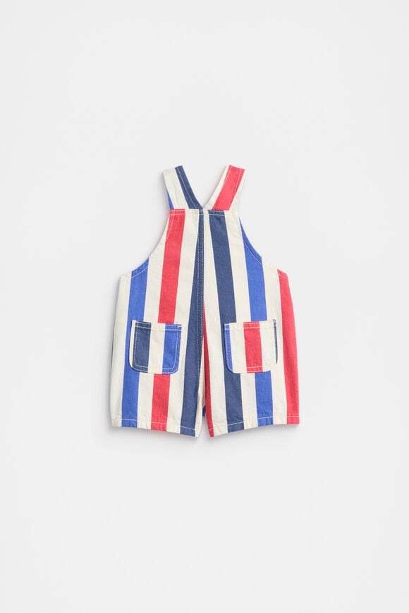 Stripe Logo Overall  Multi  hi-res