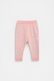 Chick Knit Pant  Rose Pink  hi-res
