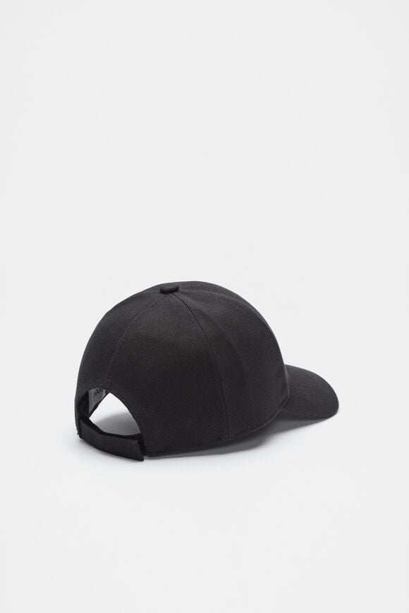 Seed Cap  Black  hi-res