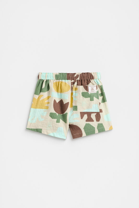 Abstract Print Short  Abstract Print  hi-res