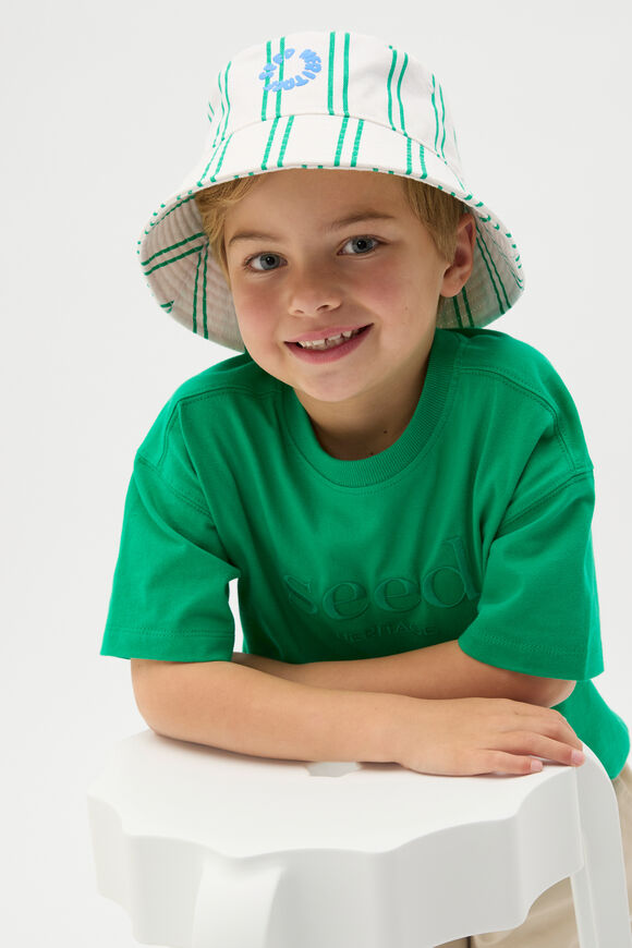 Stripe Bucket Hat  Denver Green  hi-res